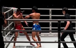 Khán giả phấn khích khi võ sĩ chơi xấu bị hạ knock out