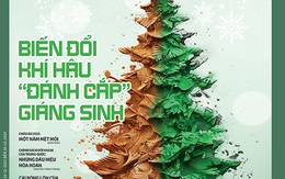 Tuổi Trẻ Cuối Tuần số 50-2023: 'Biến đổi khí hậu 'đánh cắp' Giáng sinh'