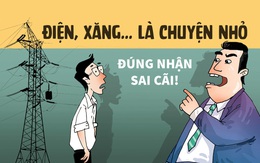 Giá điện, giá xăng... chỉ là chuyện nhỏ - Đúng nhận, sai cãi