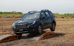 Subaru Forester 2023 mở bán tại đại lý, bản cũ hạ giá gần 300 triệu đồng