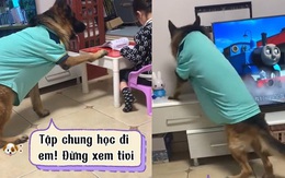 Chú chó trách phạt cô chủ vì học hành lơ đãng