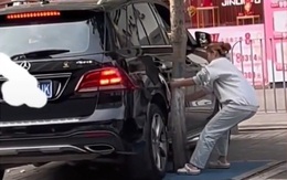 Nữ tài xế ra sức kéo cây tránh đụng vào ô tô