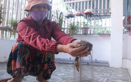 'Bão bụi tro' từ Nhà máy đường Biên Hòa - Phan Rang