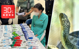 Bản tin 30s Nóng: 4 tiếp viên hàng không vẫn tiếp tục bị điều tra; Xem rắn hổ mang chúa 17kg, dài 4m