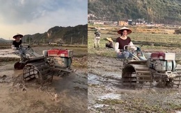 Cô gái Tây lái máy cày điêu luyện