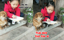 Cô chủ bắt chó cưng học đánh vần