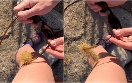 Khi nỗi đau nhân đôi