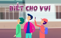 Biết cho vui: Điều gì sẽ xảy ra nếu bạn ngước nhìn một thứ ở ngoài đường?