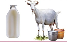 Đuổi hình bắt chữ: Đây là tỉnh thành nào của nước ta? (P4)