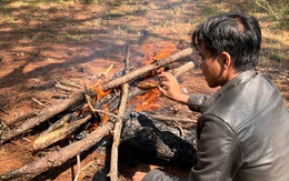 Nghề tìm 'ông sửu' giữa đại ngàn