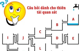 Người IQ cao mới đoán đúng bình nào đầy nước đầu tiên?