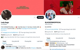 Blackpink, Lady Gaga... bị Twitter 'thổi bay' vì quên trả phí