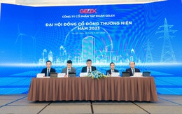 Lợi nhuận Gelex đạt ngàn tỉ trong năm 2022