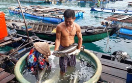 Phát triển nguồn nước sông Mekong, Việt Nam mong muốn các giải pháp cụ thể