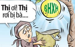 Quả thị... bảo hiểm xã hội