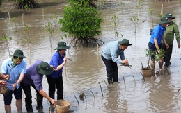 Trung ương Đoàn ra quân chiến dịch Thanh niên tình nguyện hè 2023