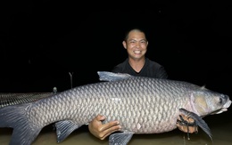 Sau ba năm săn 'thủy quái', câu được cá trắm đen nặng 40kg