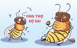 Chú ong thợ sợ làm sai