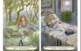 Tarot: Bạn hợp với cung hoàng đạo nào nhất?