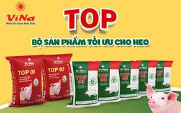 Vinafeed Group ra mắt dòng sản phẩm cao cấp mới cho heo