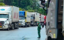 Xây chuỗi kết nối nông sản Việt - Trung, giải quyết ách tắc, thông quan nhanh nhất