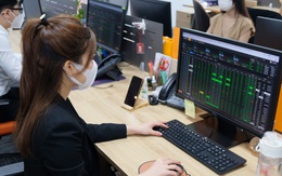 Cổ phiếu tăng giá mạnh, nhiều người tiếc hùi hụi