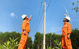 Tăng cường đảm bảo an toàn cho tuyến đường dây tự dùng 22kV