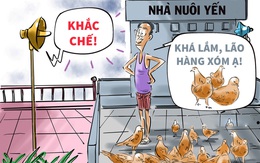 'Táo bạo' khắc chế nhà nuôi chim yến trong đô thị