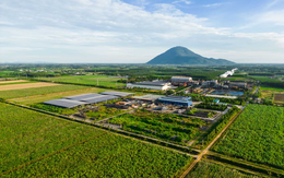 Chủ tịch Đặng Văn Thành: Tập đoàn TTC cam kết đầu tư mạnh mẽ vào lĩnh vực nông nghiệp