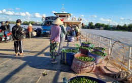 Bản cam kết chưa ráo mực, bến phà ở Vĩnh Long lại vi phạm như thách thức