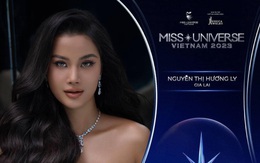 Thi hoa hậu lần thứ 3, Hương Ly được trao sash 'Miss kiên trì'