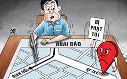 Khai báo gian dối, nhận cái kết đắng