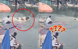 Cần thủ chán không buồn nói khi ngồi câu cá bị chú bò phá đám