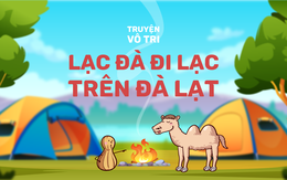 Lạc đà đi lạc trên Đà Lạt