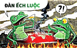 Trái đất 'mát' và đàn ếch luộc