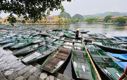 Lái đò du lịch Tam Cốc - Bích Động: hợp đồng lao động đụng hương ước của làng