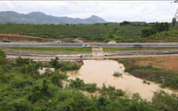 Phó thủ tướng yêu cầu khắc phục tình trạng ngập cao tốc Phan Thiết - Dầu Giây