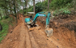 Doanh nghiệp mở đường trái phép vào khu du lịch quốc gia hồ Tuyền Lâm