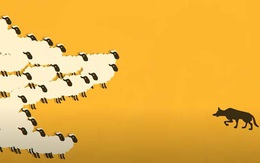 Quiz: Bạn có dễ thích nghi với những thay đổi của cuộc sống?