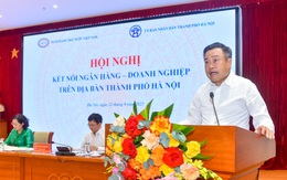 Doanh nghiệp 'không còn khả năng hấp thụ vốn nữa mà đưa nhân sâm vào thì người ta cũng chết'