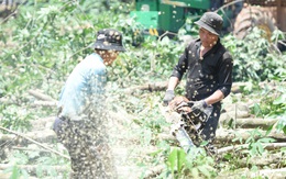 Giải ngân chậm dự án cao tốc Biên Hòa - Vũng Tàu là có 'khiếm khuyết' với xã hội