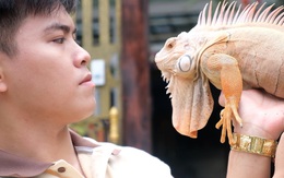 Cuộc thi ‘Lan tỏa năng lượng tích cực 2023’: Thú chơi rồng Nam Mỹ