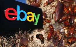 Nhân viên gửi gián sống cho khách, eBay bị phạt 3 triệu USD