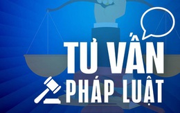 Bị nợ lương, tôi có thể tố cáo hoặc khởi kiện công ty không?