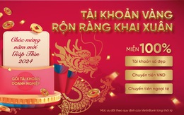 Tài khoản vàng, rộn ràng khai xuân cùng VietinBank