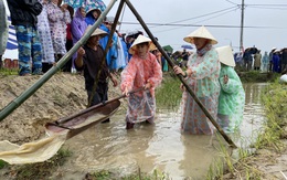 Khách Tây khoái chí xuống ruộng tát nước, cấy lúa cùng nông dân Hội An