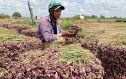 Bí thư Tỉnh ủy Sóc Trăng chỉ đạo tháo gỡ, vướng mắc cho nhiều dự án