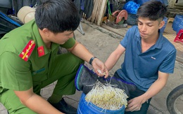 Trồng giá đỗ bằng hóa chất, sao 'đầu độc' đồng bào mình vì một chút lợi ích cá nhân?