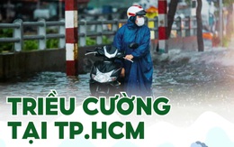 Hôm nay triều cường TP.HCM đạt đỉnh lịch sử 1,8m, đường nào sẽ ngập?