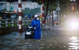 Chính phủ lấy ý kiến các bộ ngành về dự án ngăn triều 10.000 tỉ